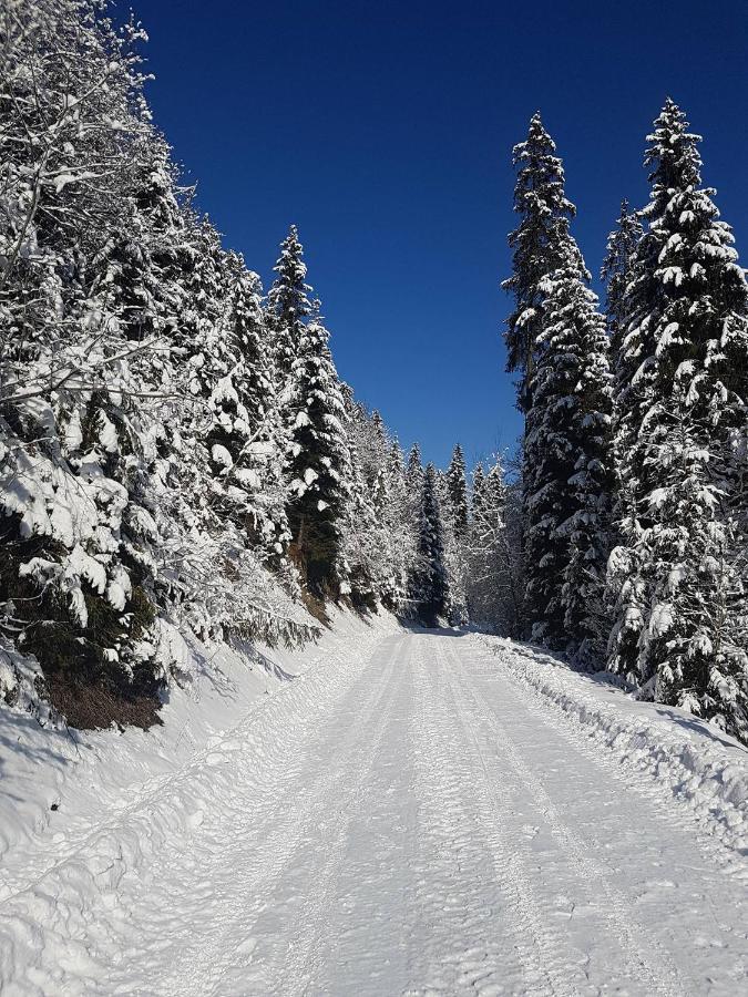 Skalny Zakatek Z Grota Solna Na Wylacznosc วาปส์เชนิชแน ภายนอก รูปภาพ